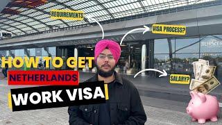 NETHERLANDS WORK VISA 2024 | EASY JOBS | SHORT PROCESSING TIME | FRESHERS CAN APPLY | HIGH SALARY