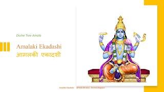 Amalaki Ekadashi Signicance of Fasting & Benefits  आमलकी एकादशी व्रत का महत्व और लाभ