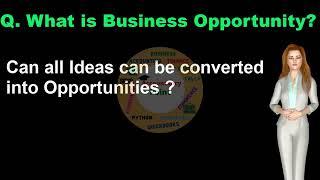 What is Business opportunity?