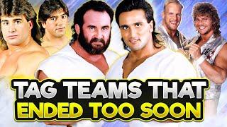 "Pro Wrestling Tag Teams that Ended Too Soon Part One" #prowrestling #tagteamwrestling #nwa #wwe