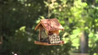 Perky-Pet® Deluxe Chalet Wild Bird Feeder