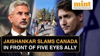 Jaishankar's SHARP Criticism Of Canada After Temple Attack: Look At Political Space For Extremists