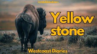 Yellowstone  - Westcoastdiaries 27