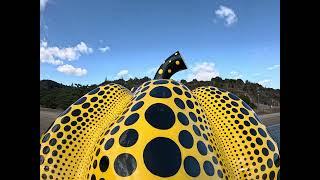 Naoshima | Chichu Art Museum, Ando Museum, Lee Ufan Museum, Vally Gellery, Yayoi Kusama’s Pumpkins