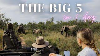 We tried finding the BIG 5 in one day at Royal Malewane, South Africa!