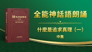 關于追求真理《什麽是追求真理（一）》中集