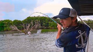 Solo BARRA FISHING the CRAZIEST RIVER IN AUSTRALIA