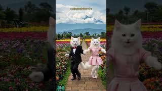 Dancing Cats Having Fun in the Park!  #DancingCats #TooCute #FunMoments #catlover #fyp