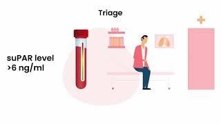 suPAR - Der prognostische Biomarker