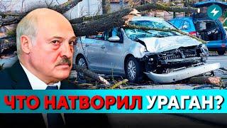 Беларусь накрыла стихия: серьезный урон! Предупреждение синоптиков: расслабляться рано! // Новости