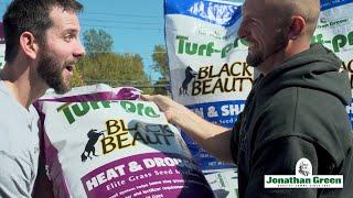 3 Reasons A Black Beauty Lawn Is Healthier & Stronger | Jonathan Green