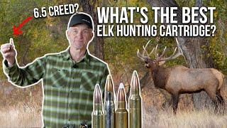 Randy Reacts to Your Elk Hunting Cartridges!