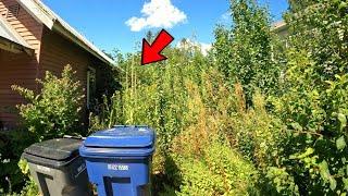 You Think THIS is OVERGROWN? Wait Until You See The BACK! Week In The Lawn Care Life #11