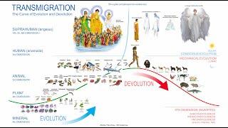 Transmigration: The Evolution and Devolution of Souls (urgent message at end)