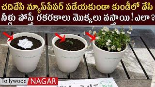 Japanese Green Newspaper | Unknown Facts About Green Newspaper | Latest Updates | Tollywood Nagar