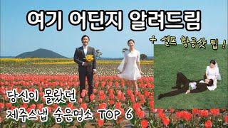 제주스냅 숨은명소 top 6 (+ 셀프 항공샷 찍는법 / 유채꽃숨은명소 / 제주도셀프웨딩 / 셀프웨딩꿀팁 / 셀프웨딩준비물 / 제주도숨은명소 / 셀프웨딩촬영 )