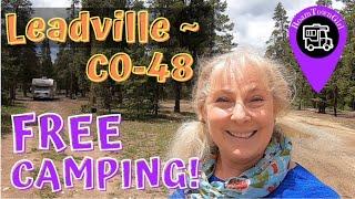 Dispersed Camping Near Leadville/ CO-48 Dunn Ditch / Free Camping with RoamTownGirl!