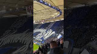 Choreo Rückblick aus 2020  #nordtribüne #hsv #fans #choreo