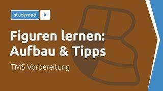 Figuren lernen (Aufbau & Tipps) - TMS Vorbereitung