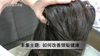 【中醫保健小常識】如何改善頭髪健康 第89集