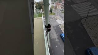 INSANE PARKOUR POLE SLIDE  #parkour #freerunning #extremesports