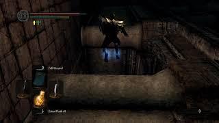 weird secret area in dark souls