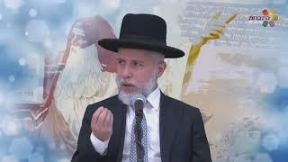 הרב זמיר כהן - מבט אמיתי בגדולי התנ״ך - הרצאה מאלפת - ממליץ מאוד מאוד - תהנו