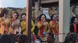 LIVE WAYANG KULIT DALANG KI DIAN HADI PRASETYO DI DUSUN TOBOYO #live