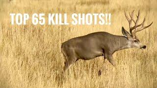 TOP 65 BEST HUNTING KILL SHOTS!! BOW AND RIFLE!