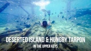 Deserted Island & Hungry Tarpon in the Upper Keys