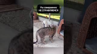 У нас осталось 24 часа...