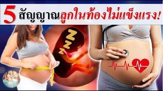 พัฒนาการทารกในครรภ์ : 5 สัญญาณทารกในครรภ์ไม่แข็งแรง! | ลูกในท้อง | คนท้อง Everything