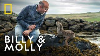 First Look | Billy & Molly: An Otter Love Story | National Geographic UK