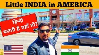 अमेरिका में Little INDIA || Houston Texas Mahatma Gandhi District USA