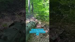 Багато запитань(продовження на каналі) #історіїзжиття #життя