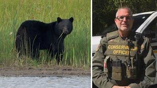 Two northern Ont. men fined for violating bear hunting rules