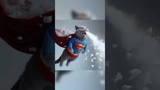 Hero cat | The cat rescued a plane with a broken engine while it was flying #shorts #superman #cat