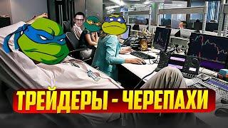 Черепахи - трейдеры. В чём соль стратегии?