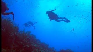 Amazing Shore Diving- Bonaire