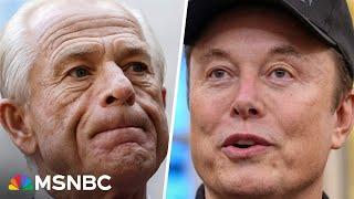 ‘None of this is good’: Republican strategist on Musk-Navarro feud