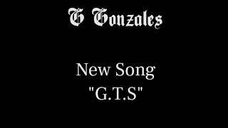 G.T.S by G Gonzales