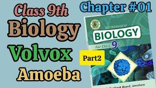 Ameoba and Volvox -9th biology Chapter #01 -Introduction to biology (part 2) Sindh board