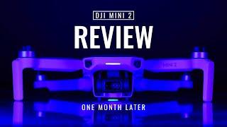 DJI Mini 2 Review | One Month Later