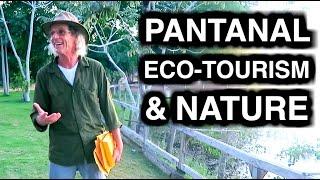 NATURE AND ECO-TOURISM IN PANTANAL - TRAVEL VLOG 290 BRAZIL | ENTERPRISEME TV