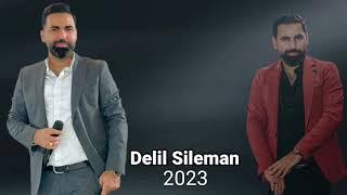 Delil Sileman 2023 NeW!! Kûrdish Wedding Shexani #delilsileman