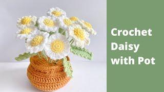  Crochet Daisy in a Pot | Crochet Daisy Flower Tutorial