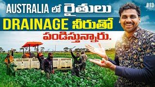 Village Life Farming In Australia  | Uma Telugu Traveller