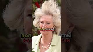 Самые смешные фотографии Британской Королевской Семьи #королевскаясемья