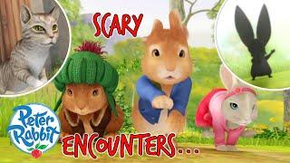 ​@OfficialPeterRabbit - Run as Fast as You Can Rabbits! | Chase Scenes | Scary Villains | Cartoons for Kids