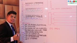 BIOQUIMICA 1